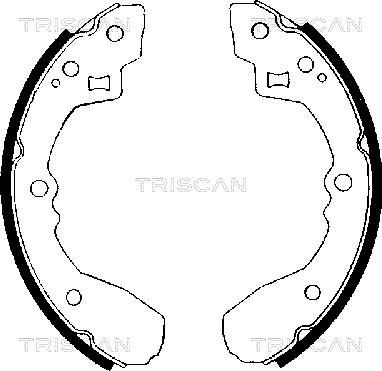 Triscan 8100 50406 - Комплект тормозных колодок, барабанные unicars.by