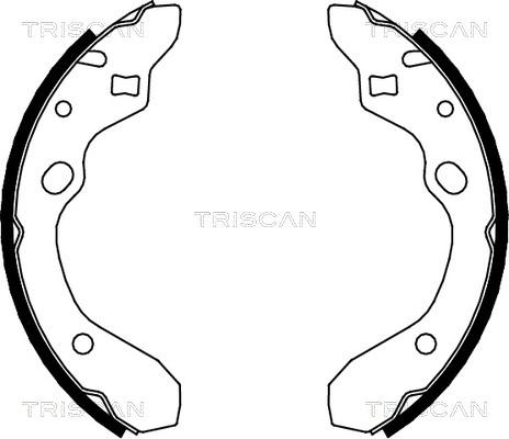 Triscan 8100 50546 - Комплект тормозных колодок, барабанные unicars.by