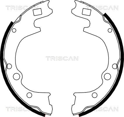 Triscan 8100 50604 - Комплект тормозных колодок, барабанные unicars.by