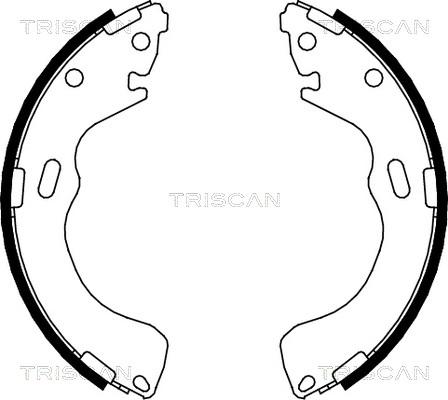 Triscan 8100 50616 - Комплект тормозных колодок, барабанные unicars.by