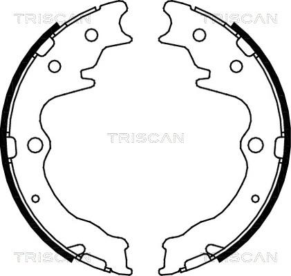 Triscan 8100 50003 - Комплект тормозов, ручник, парковка unicars.by