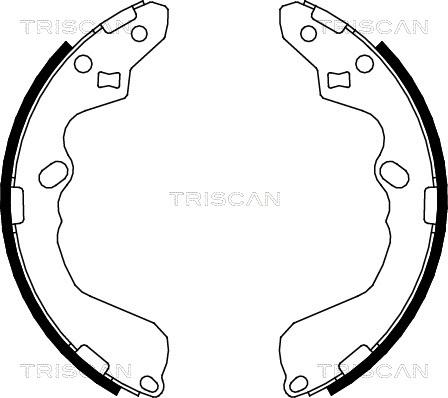 Triscan 8100 50002 - Комплект тормозных колодок, барабанные unicars.by