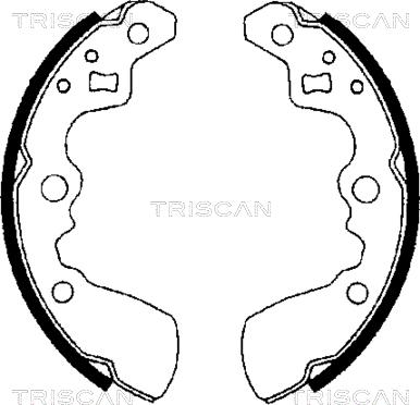 Triscan 8100 69550 - Комплект тормозных колодок, барабанные unicars.by