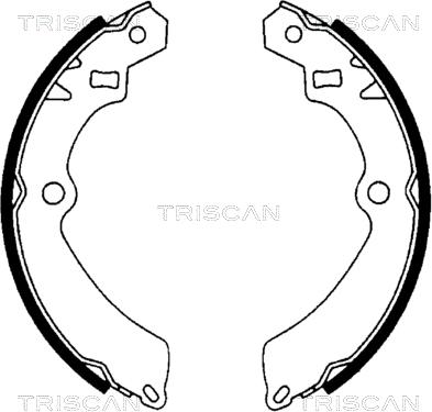 Triscan 8100 69511 - Комплект тормозных колодок, барабанные unicars.by