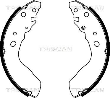 Triscan 8100 69584 - Комплект тормозных колодок, барабанные unicars.by