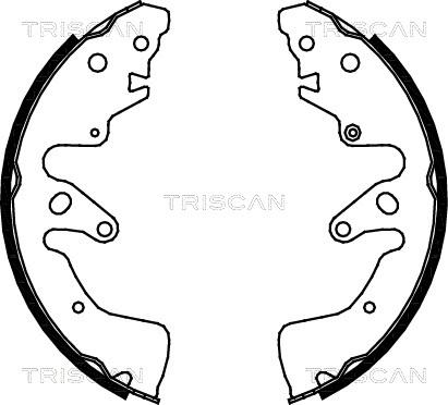 Triscan 8100 69004 - Комплект тормозных колодок, барабанные unicars.by