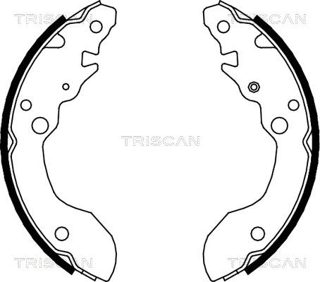 Triscan 8100 69007 - Комплект тормозных колодок, барабанные unicars.by