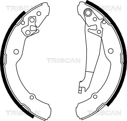 Triscan 8100 67631 - Комплект тормозных колодок, барабанные unicars.by