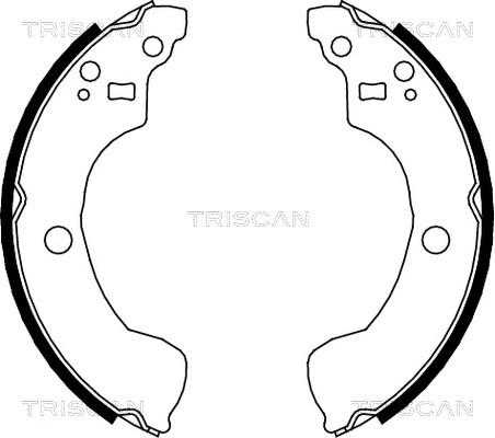 Triscan 8100 14004 - Комплект тормозных колодок, барабанные unicars.by