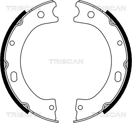 Triscan 8100 14011 - Комплект тормозных колодок, барабанные unicars.by