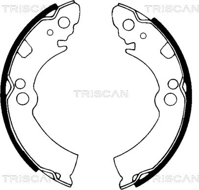 Triscan 8100 14396 - Комплект тормозных колодок, барабанные unicars.by