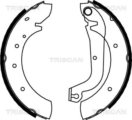 Triscan 8100 15480 - Комплект тормозных колодок, барабанные unicars.by