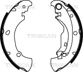 Triscan 8100 15625 - Комплект тормозных колодок, барабанные unicars.by