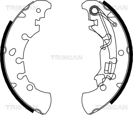 Triscan 8100 15023 - Комплект тормозных колодок, барабанные unicars.by