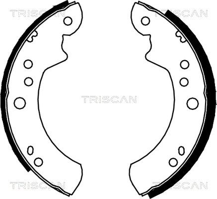 Triscan 8100 16443 - Комплект тормозных колодок, барабанные unicars.by