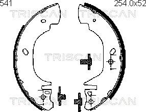 Triscan 8100 16541 - Комплект тормозных колодок, барабанные unicars.by