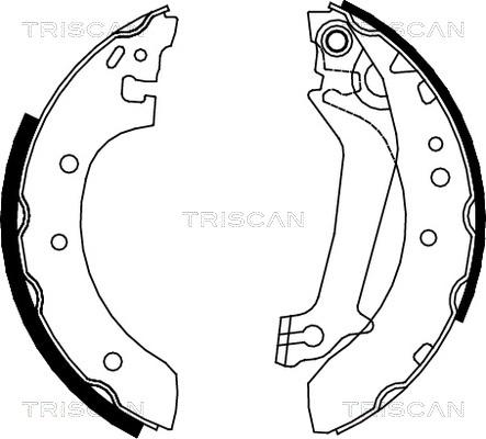 Triscan 8100 16587 - Комплект тормозных колодок, барабанные unicars.by