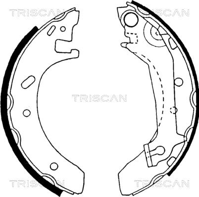 Triscan 8100 16574 - Комплект тормозных колодок, барабанные unicars.by