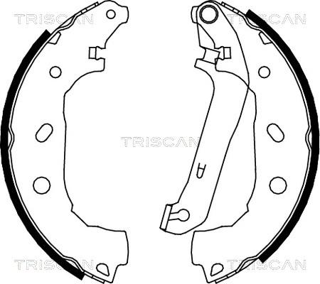 Triscan 8100 16009 - Комплект тормозных колодок, барабанные unicars.by