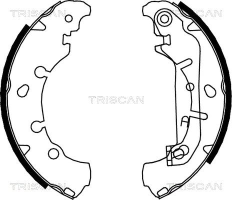 Triscan 8100 16006 - Комплект тормозных колодок, барабанные unicars.by