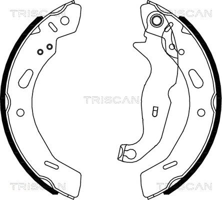 Triscan 8100 16013 - Комплект тормозных колодок, барабанные unicars.by