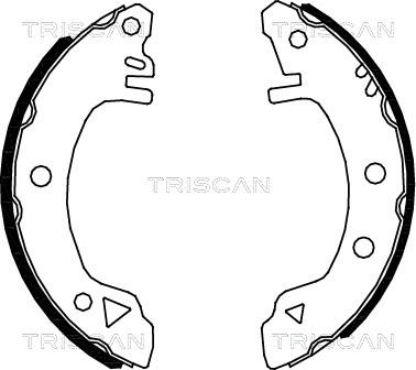 Triscan 8100 16375 - Комплект тормозных колодок, барабанные unicars.by