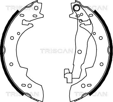 Triscan 8100 10447 - Комплект тормозных колодок, барабанные unicars.by