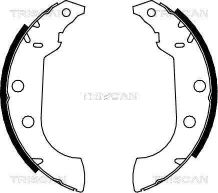 Triscan 8100 10489 - Комплект тормозных колодок, барабанные unicars.by