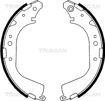 Triscan 8100 10425 - Комплект тормозных колодок, барабанные unicars.by