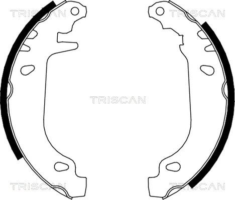 Triscan 8100 10545 - Комплект тормозных колодок, барабанные unicars.by