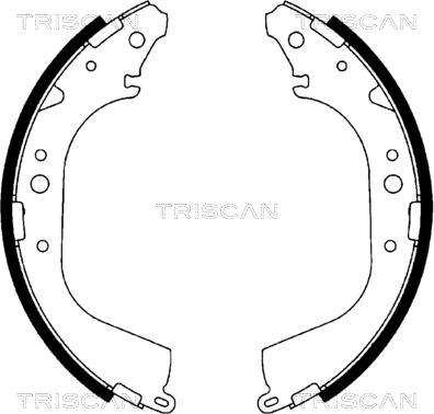 Triscan 8100 10519 - Комплект тормозных колодок, барабанные unicars.by