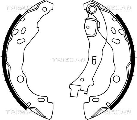 Triscan 8100 10009 - Комплект тормозных колодок, барабанные unicars.by