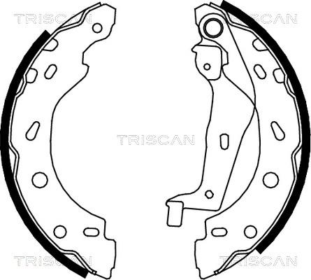 Triscan 8100 10005 - Комплект тормозных колодок, барабанные unicars.by