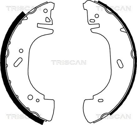 Triscan 8100 10002 - Комплект тормозных колодок, барабанные unicars.by