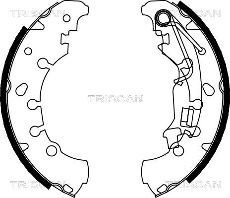 Triscan 8100 10011 - Комплект тормозных колодок, барабанные unicars.by