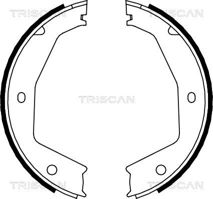 Triscan 8100 10034 - Комплект тормозов, ручник, парковка unicars.by