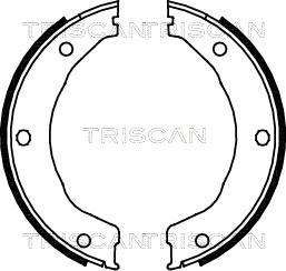 Triscan 8100 10030 - Комплект тормозов, ручник, парковка unicars.by