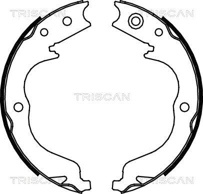 Triscan 8100 10029 - Комплект тормозных колодок, барабанные unicars.by