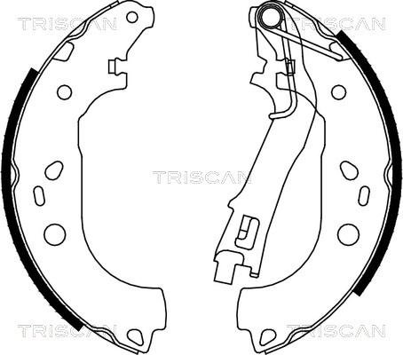 Triscan 8100 10028 - Комплект тормозных колодок, барабанные unicars.by