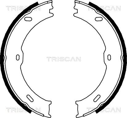 Triscan 8100 10023 - Комплект тормозных колодок, барабанные unicars.by