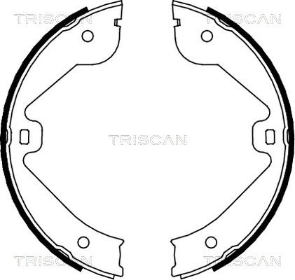 Triscan 8100 10022 - Комплект тормозных колодок, барабанные unicars.by