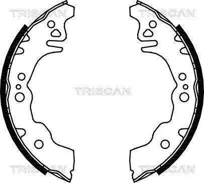 Triscan 8100 10027 - Комплект тормозных колодок, барабанные unicars.by