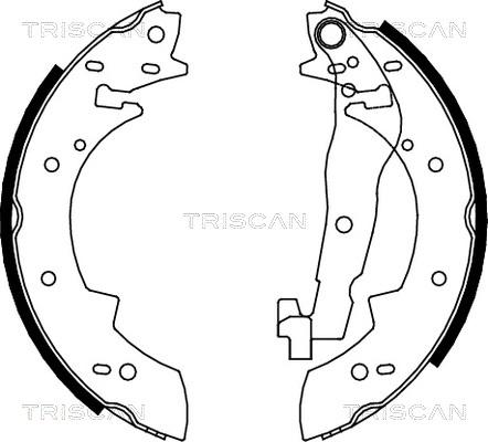 Triscan 8100 10307 - Комплект тормозных колодок, барабанные unicars.by