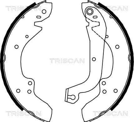 Triscan 8100 10374 - Комплект тормозных колодок, барабанные unicars.by