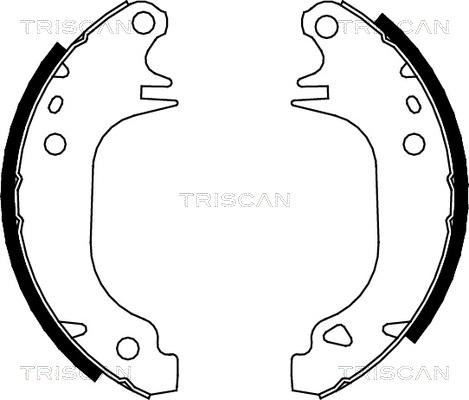 Triscan 8100 10372 - Комплект тормозных колодок, барабанные unicars.by