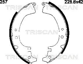 Triscan 8100 10257 - Комплект тормозных колодок, барабанные unicars.by