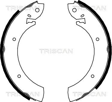 Triscan 8100 10272 - Комплект тормозных колодок, барабанные unicars.by