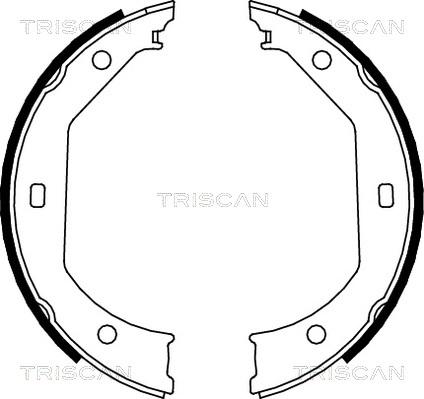 Triscan 8100 11638 - Комплект тормозных колодок, барабанные unicars.by