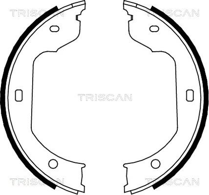 Triscan 8100 11012 - Комплект тормозных колодок, барабанные unicars.by