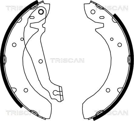 Triscan 8100 18013 - Комплект тормозных колодок, барабанные unicars.by